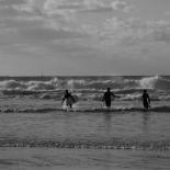 784-surfers