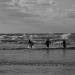 784-surfers