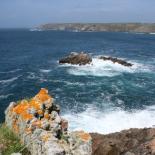 793-contrastes