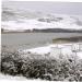 822-manteau-blanc