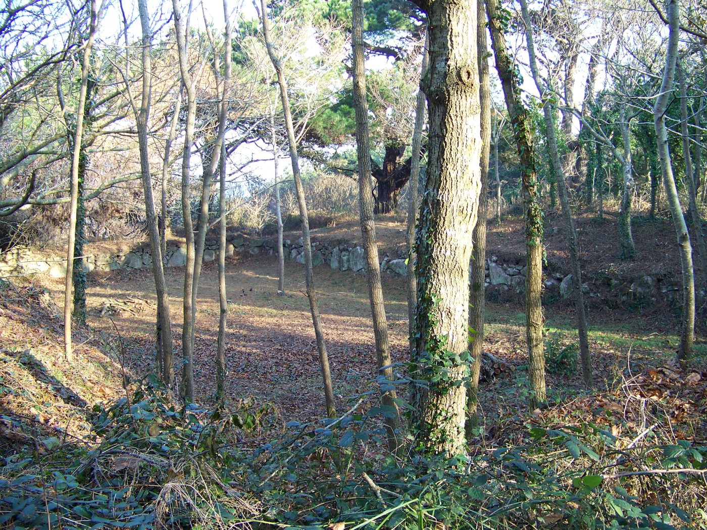 Le Moulin de Keriolet 