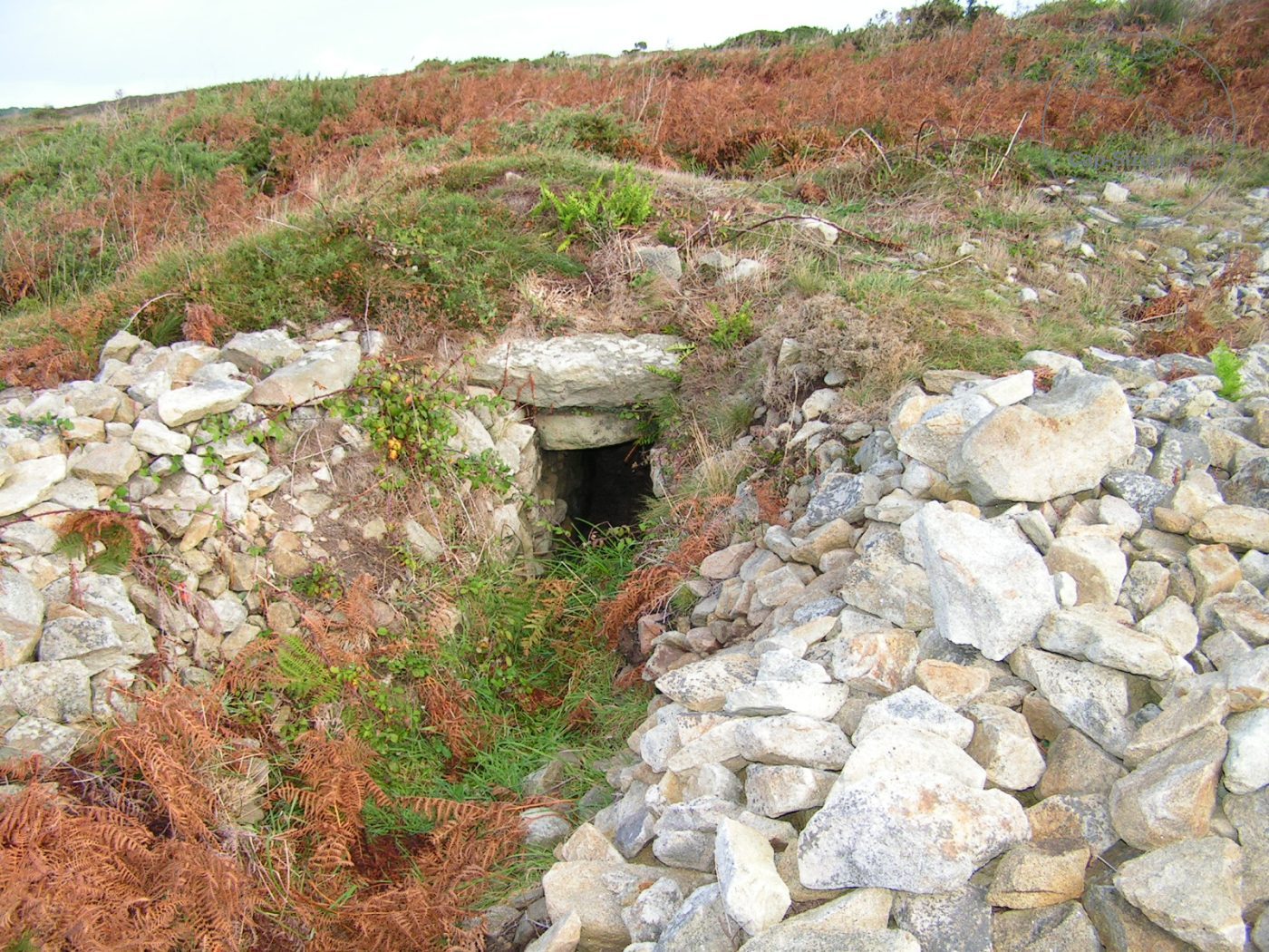 Tumulus en Cap Sizun 