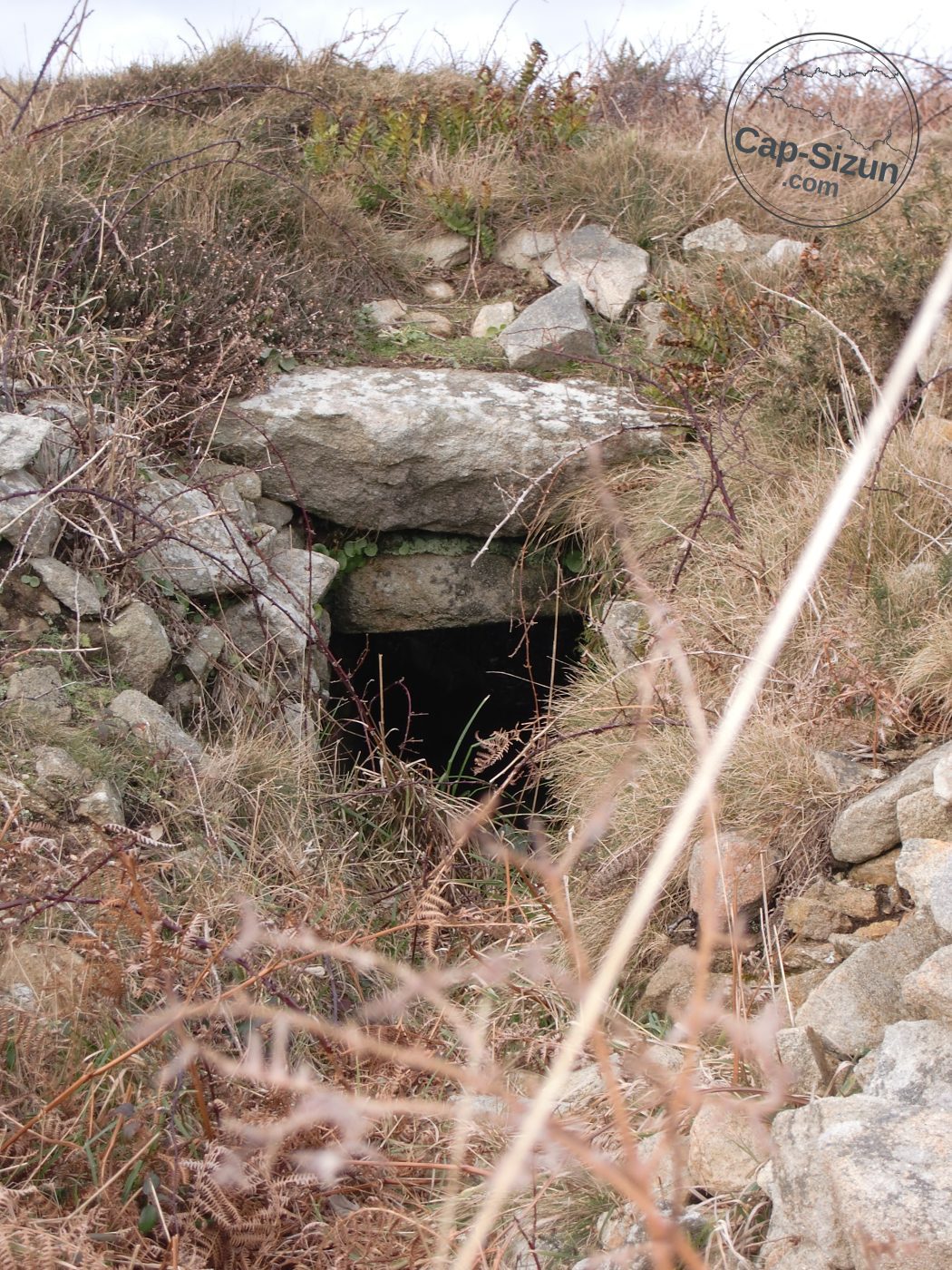 Tumulus en Cap-Sizun