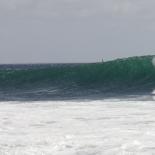 939-surfeur-a-l-ile-aux-vaches