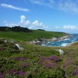 945-anse-du-milier