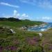 945-anse-du-milier