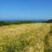 953-bientot-les-moissons-----------
