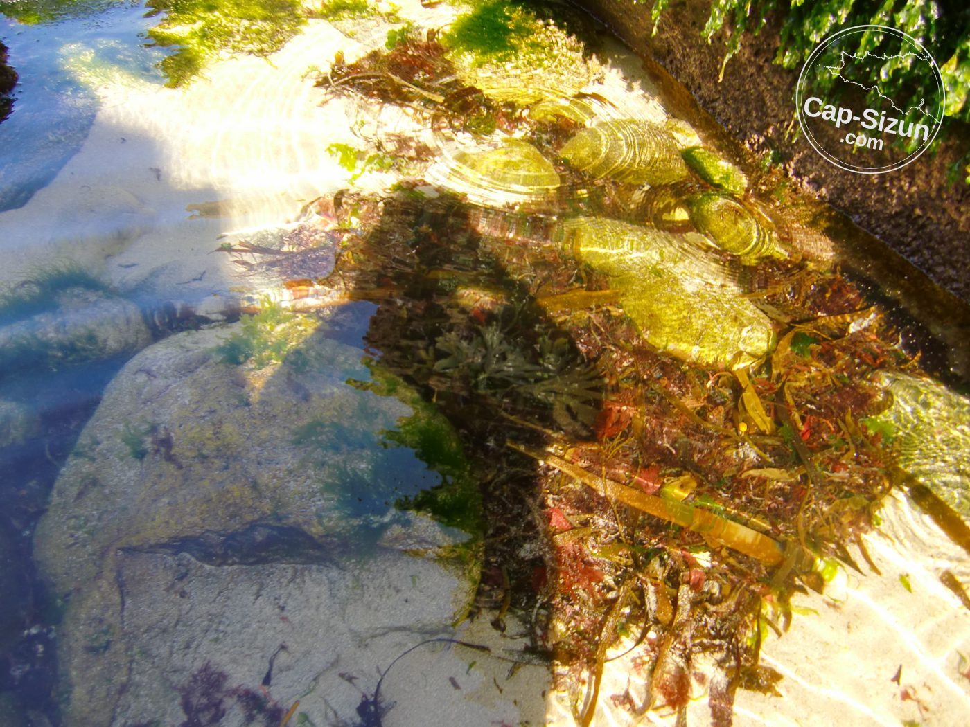 Sur la plage à Castelmeur