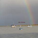 984-ile-de-sein