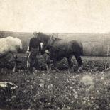 985-labourage-en-1938