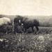 985-labourage-en-1938